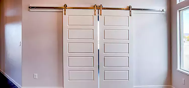 Glass Barn Door with Installation Hardware Kit La Crosse